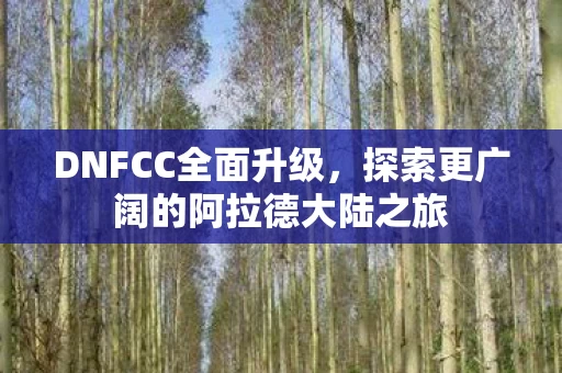 探索更广阔的阿拉德大陆之旅图片