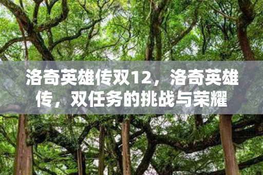 洛奇英雄传双12，洛奇英雄传，双任务的挑战与荣耀