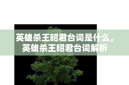 英雄杀王昭君台词是什么,英雄杀王昭君台词解析 英雄杀王昭君台词是什么,英雄杀王昭君台词解析