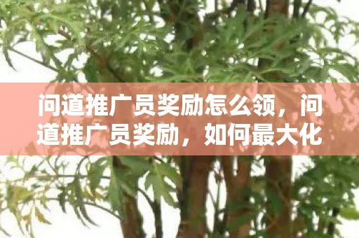 问道推广员奖励怎么领,问道推广员奖励,如何最大化你的收益? 问道推广员奖励怎么领,问道推广员奖励,如何最大化你的收益?