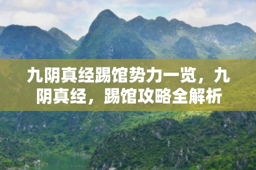 九阴真经踢馆势力一览，九阴真经，踢馆攻略全解析