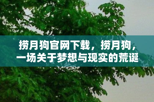 捞月狗官网下载，捞月狗，一场关于梦想与现实的荒诞喜剧