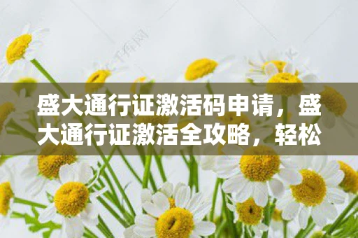 盛大通行证激活码申请，盛大通行证激活全攻略，轻松几步，畅游盛大世界