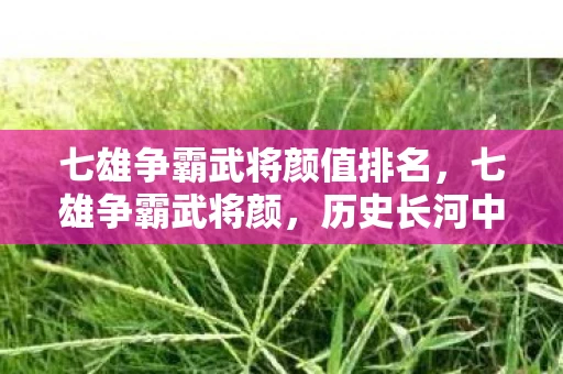 七雄争霸武将颜值排名，七雄争霸武将颜，历史长河中的英雄风采