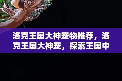 洛克王国大神宠物推荐，洛克王国大神宠，探索王国中的传奇存在