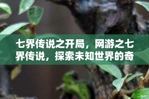 七界传说之开局,网游之七界传说,探索未知世界的奇幻之旅 七界传说之开局,网游之七界传说,探索未知世界的奇幻之旅