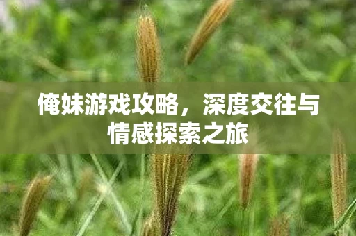 深度交往与情感探索之旅图片