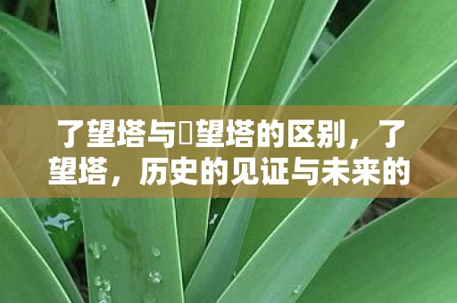 了望塔与瞭望塔的区别，了望塔，历史的见证与未来的展望