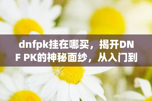 dnfpk挂在哪买，揭开DNF PK的神秘面纱，从入门到精通的全方位指南
