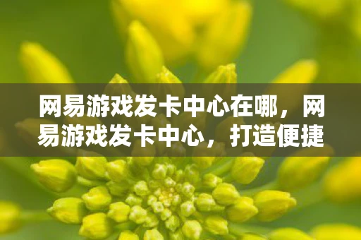 网易游戏发卡中心在哪，网易游戏发卡中心，打造便捷、安全的游戏服务新体验