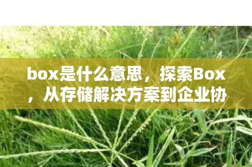 box是什么意思，探索Box，从存储解决方案到企业协作的进化