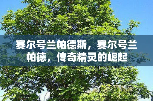 赛尔号兰帕德斯，赛尔号兰帕德，传奇精灵的崛起