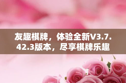 体验全新V3图片