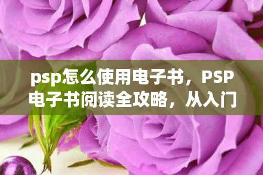 psp怎么使用电子书，PSP电子书阅读全攻略，从入门到精通