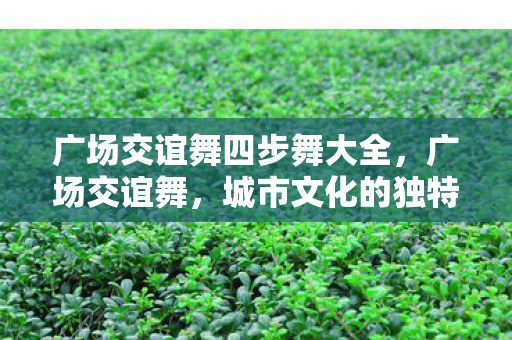 广场交谊舞四步舞大全，广场交谊舞，城市文化的独特风景线