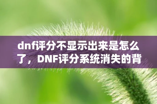 dnf评分不显示出来是怎么了，DNF评分系统消失的背后，游戏平衡与玩家反馈的博弈