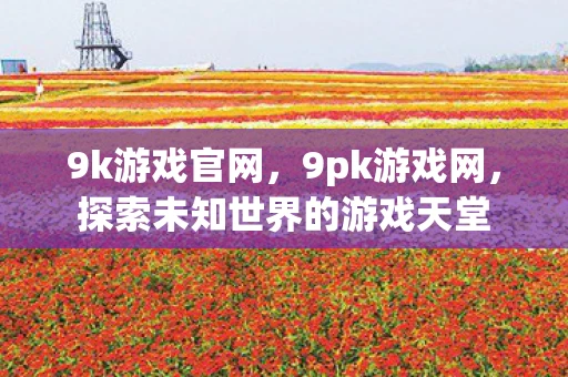 9k游戏官网,9pk游戏网,探索未知世界的游戏天堂 9k游戏官网,9pk游戏网,探索未知世界的游戏天堂