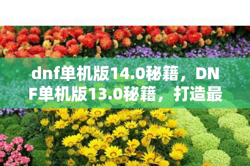 dnf单机版14.0秘籍，DNF单机版13.0秘籍，打造最强角色的秘密武器