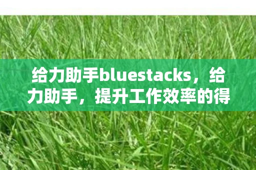 给力助手bluestacks，给力助手，提升工作效率的得力助手
