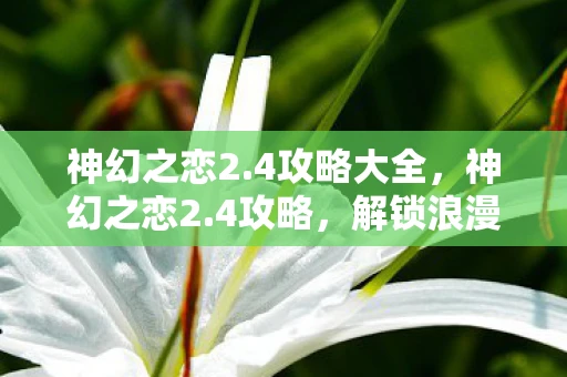 神幻之恋2.4攻略大全，神幻之恋2.4攻略，解锁浪漫与冒险的奇幻之旅