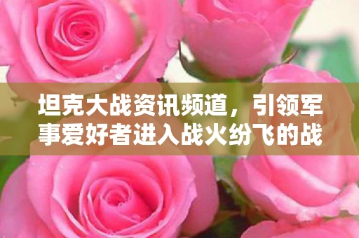 引领军事爱好者进入战火纷飞的战场图片