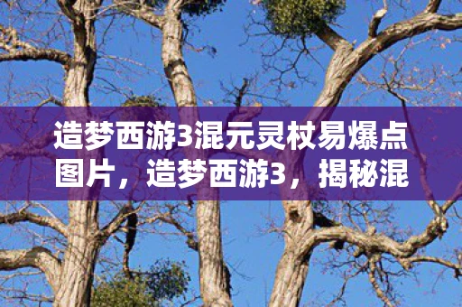 造梦西游3混元灵杖易爆点图片，造梦西游3，揭秘混元灵杖易爆点，助你轻松获取神器！