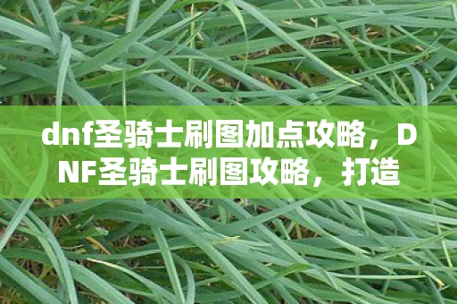 dnf圣骑士刷图加点攻略，DNF圣骑士刷图攻略，打造高效战斗体验