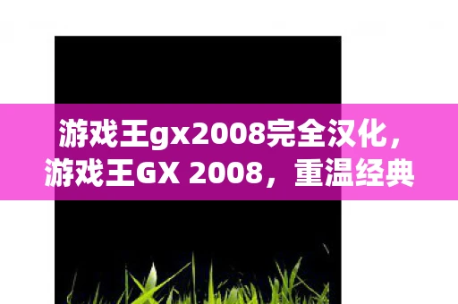 游戏王gx2008完全汉化，游戏王GX 2008，重温经典，探索卡牌世界的无限可能