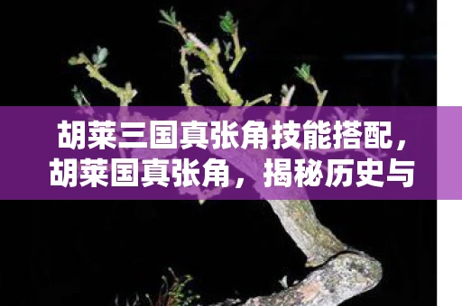 胡莱三国真张角技能搭配，胡莱国真张角，揭秘历史与传说中的神秘人物