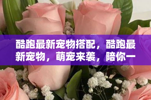 酷跑最新宠物搭配，酷跑最新宠物，萌宠来袭，陪你一起奔跑！