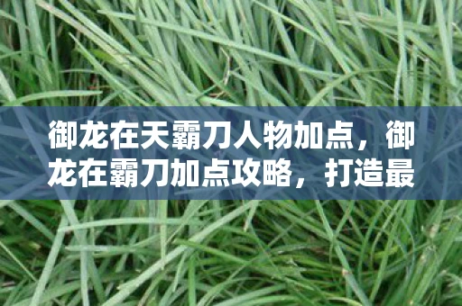 御龙在天霸刀人物加点，御龙在霸刀加点攻略，打造最强角色