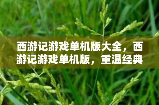 西游记游戏单机版大全，西游记游戏单机版，重温经典，再续西游传奇