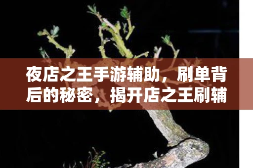 夜店之王手游辅助，刷单背后的秘密，揭开店之王刷辅助的真相