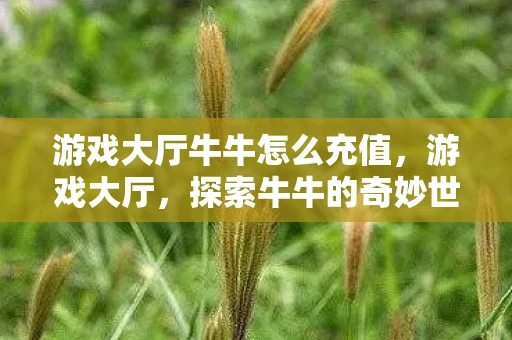 游戏大厅牛牛怎么充值，游戏大厅，探索牛牛的奇妙世界