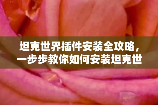 一步步教你如何安装坦克世界插件图片
