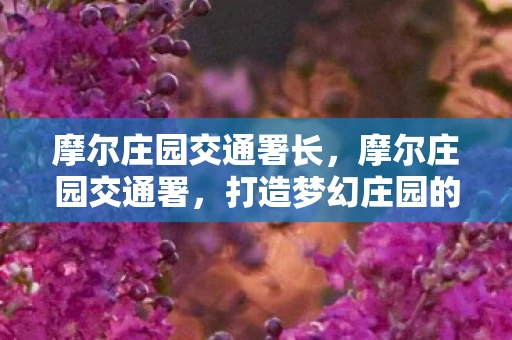 摩尔庄园交通署长,摩尔庄园交通署,打造梦幻庄园的交通枢纽 摩尔庄园交通署长,摩尔庄园交通署,打造梦幻庄园的交通枢纽