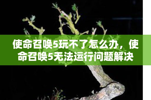 使命召唤5玩不了怎么办，使命召唤5无法运行问题解决方案