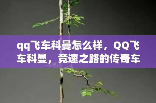 qq飞车科曼怎么样，QQ飞车科曼，竞速之路的传奇车手