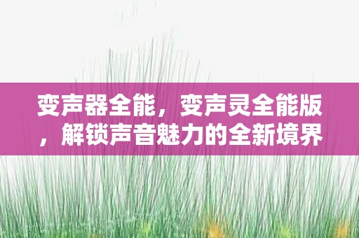 变声器全能，变声灵全能版，解锁声音魅力的全新境界