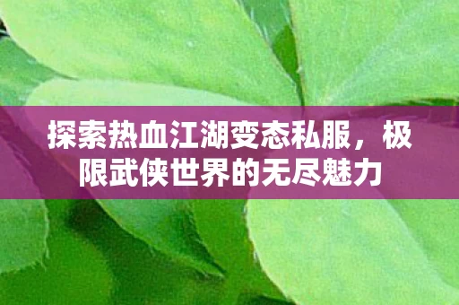 极限武侠世界的无尽魅力图片