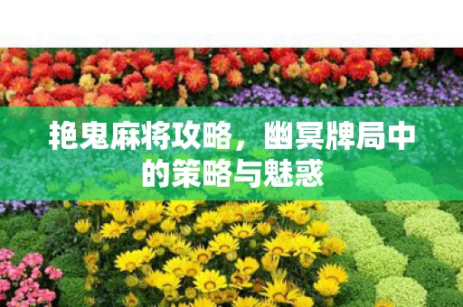 幽冥牌局中的策略与魅惑图片