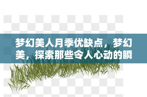 梦幻美人月季优缺点，梦幻美，探索那些令人心动的瞬间
