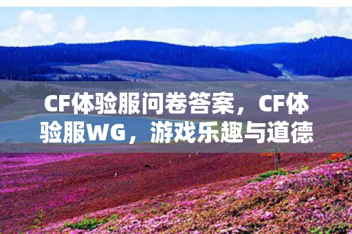 CF体验服问卷答案，CF体验服WG，游戏乐趣与道德底线的博弈