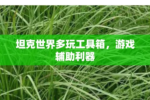 坦克世界多玩工具箱图片