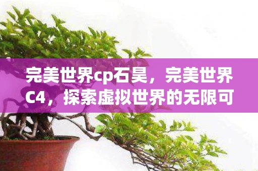 完美世界cp石昊，完美世界C4，探索虚拟世界的无限可能