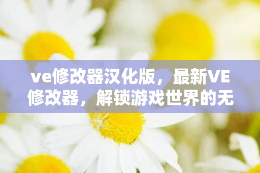 ve修改器汉化版,最新VE修改器,解锁游戏世界的无限可能 ve修改器汉化版,最新VE修改器,解锁游戏世界的无限可能