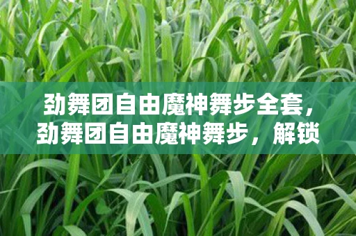 劲舞团自由魔神舞步全套,劲舞团自由魔神舞步,解锁你的舞蹈潜能 劲舞团自由魔神舞步全套,劲舞团自由魔神舞步,解锁你的舞蹈潜能