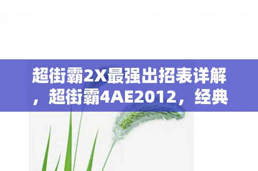 超街霸2X最强出招表详解,超街霸4AE2012,经典再现,格斗新纪元 超街霸2X最强出招表详解,超街霸4AE2012,经典再现,格斗新纪元
