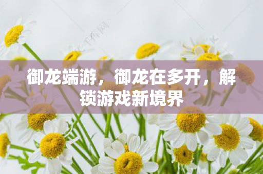 御龙端游，御龙在多开，解锁游戏新境界