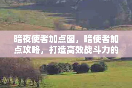 暗夜使者加点图，暗使者加点攻略，打造高效战斗力的关键